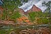 Zion National Park